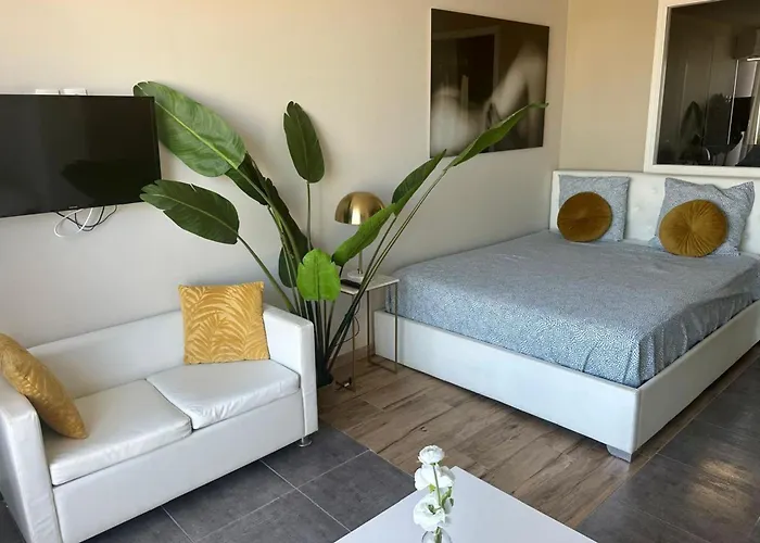 Naturiste Cap D'agde Heliopolis C 39 アグド